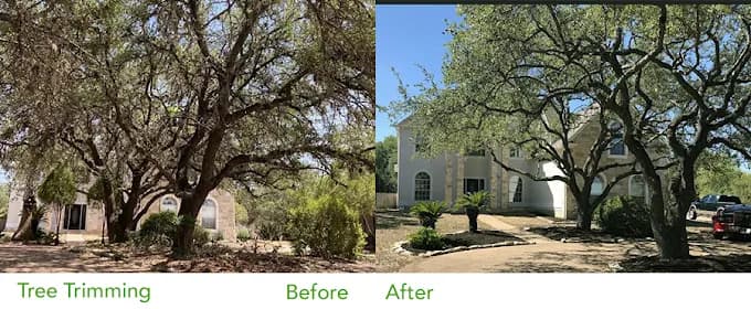 Side-by-side comparison of a house before and after overgrown trees were professionally trimmed.