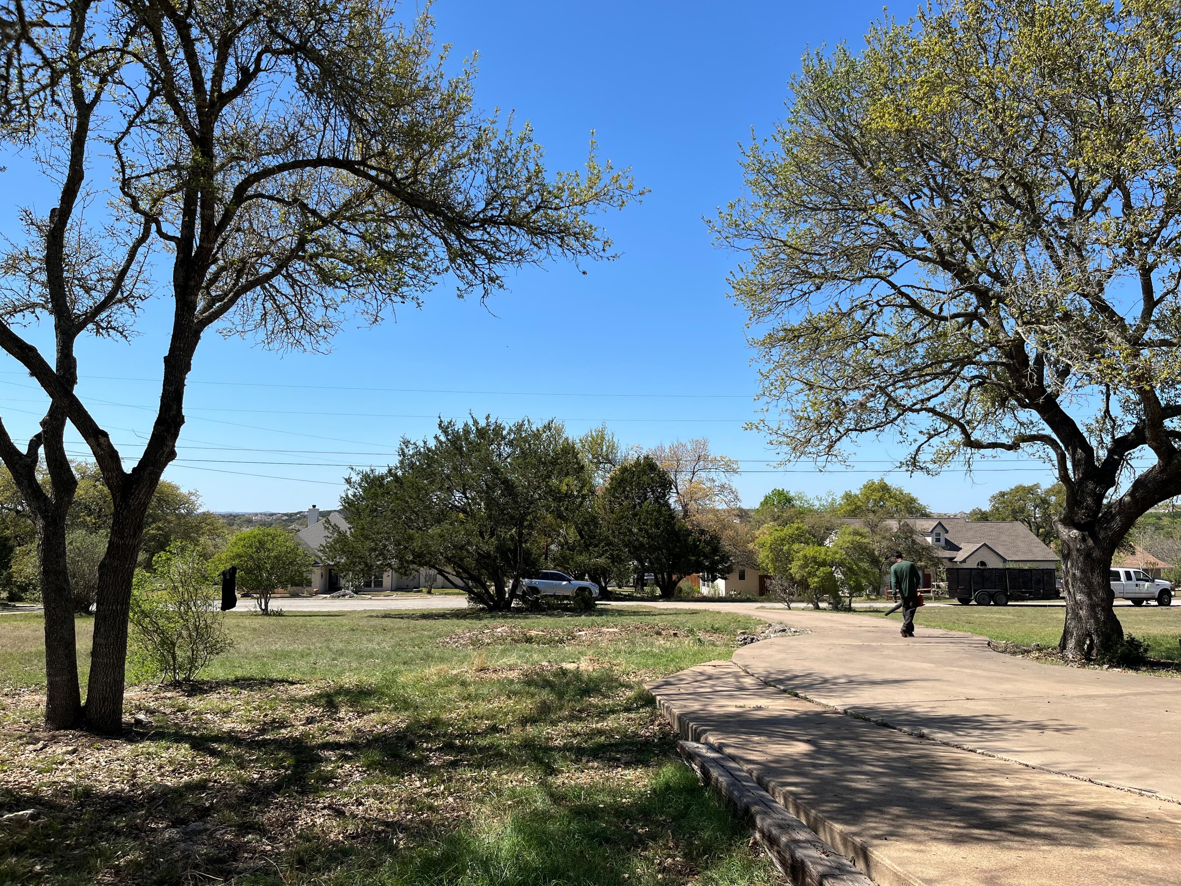 Person with leaf blower walks down a concrete driveway between large trees under blue sky.