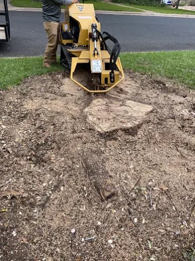 Yellow stump grinder machine removing a large tree stump from a lawn near a street.