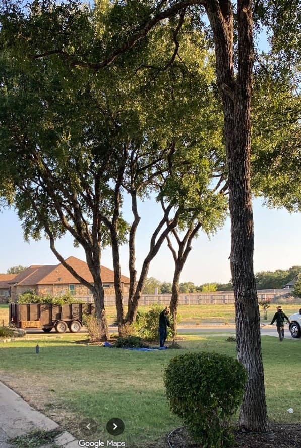 Landscapers clearing tree branches in a residential yard with a trailer full of debris.