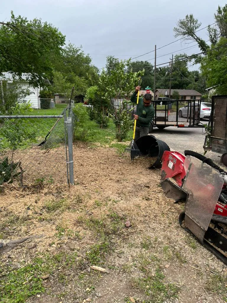 Stump grinder and cleanup in an Austin yard.