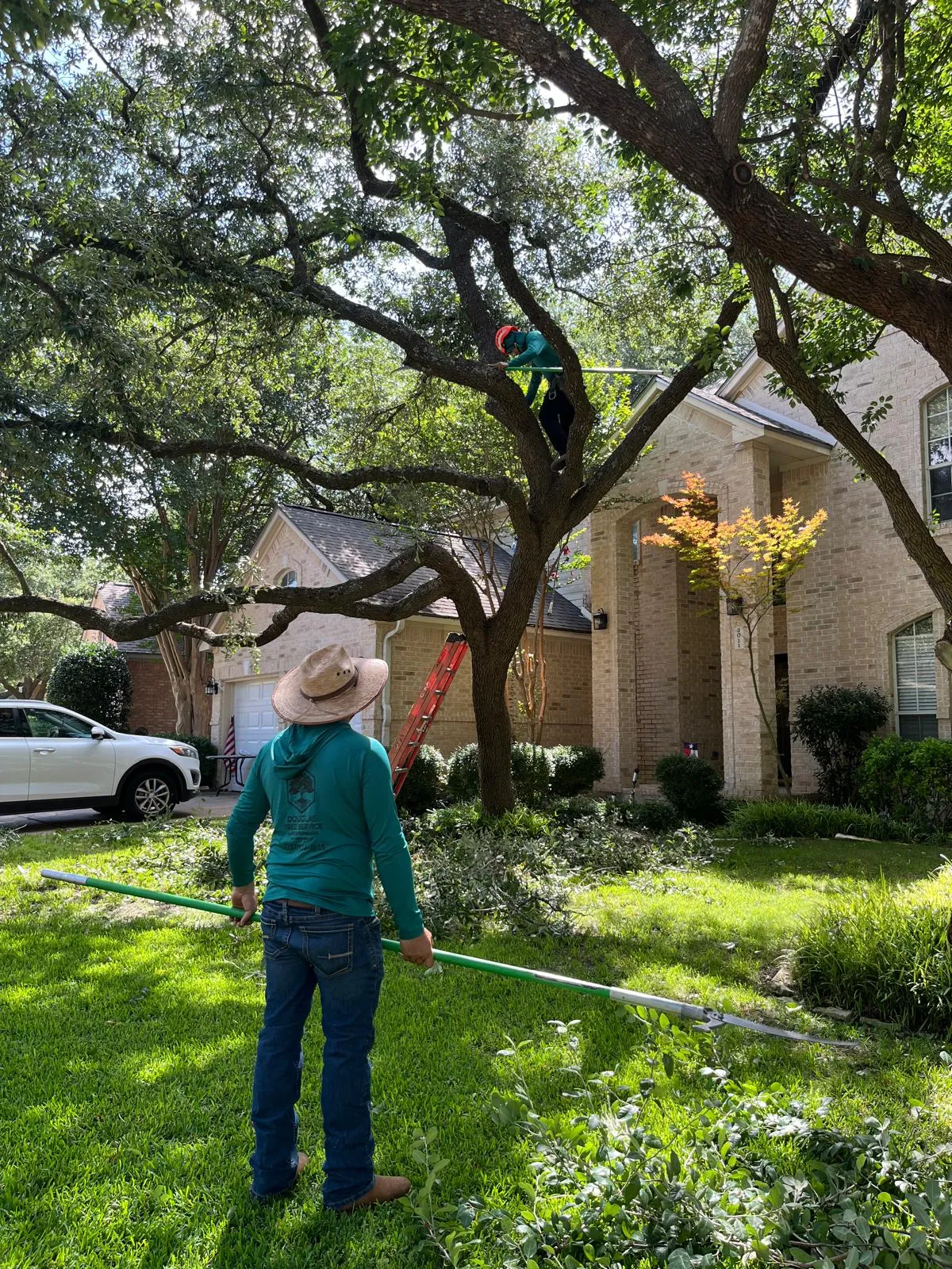 Worker trimming a large tree in a residential Austin yard.