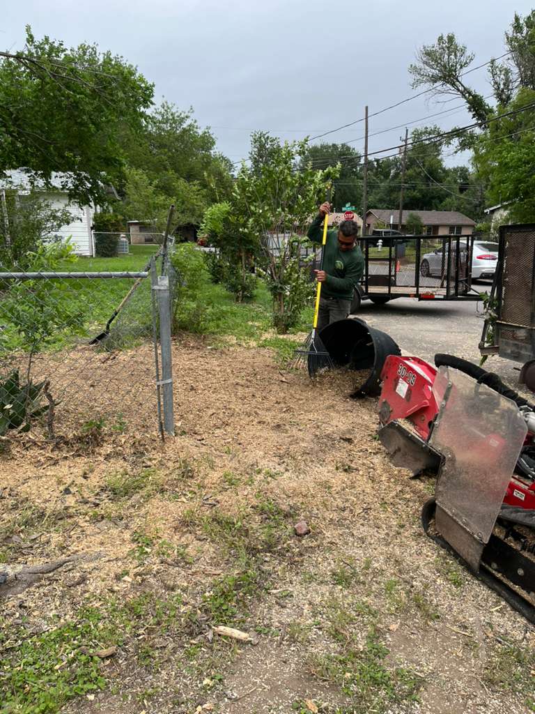 Finished stump grinding job with full cleanup by Douglas Tree Service in Austin, TX